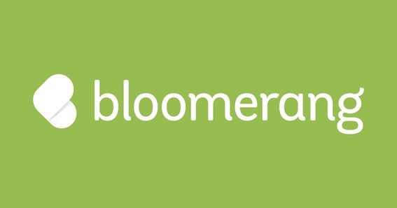 Bloomerang Login